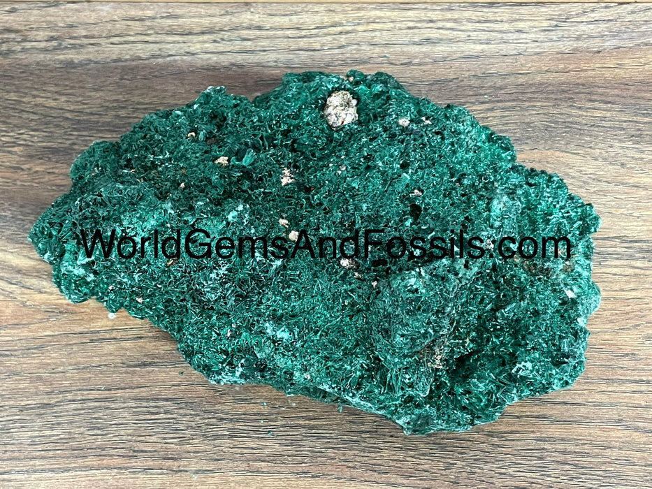 Fibrous Malachite Specimen 6.5”  #5