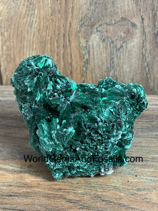 Fibrous Malachite Specimen 3.5”  #2