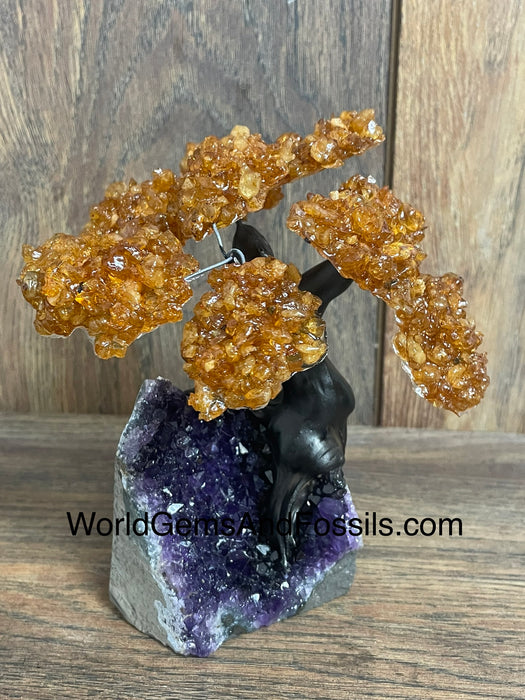 Citrine Tree On Amethyst Base #3