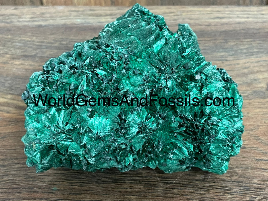 Fibrous Malachite Specimen 4”  #8