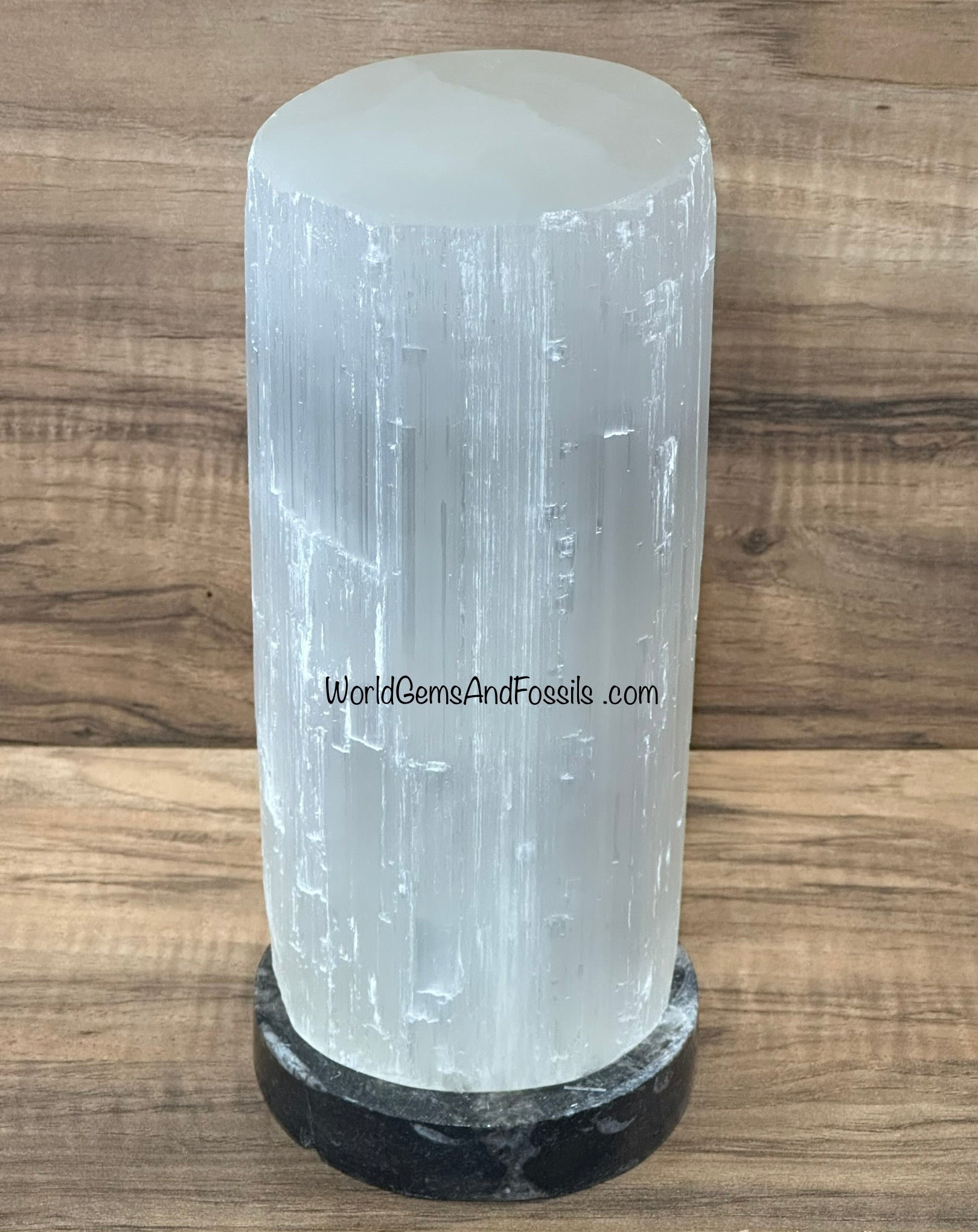 Selenite Cylinder Fossil Base Lamps