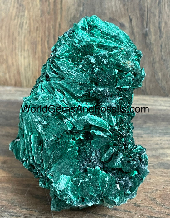 Fibrous Malachite Specimen 4”  #8