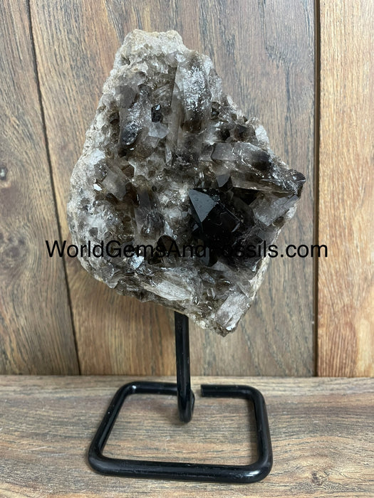 Smoky Quartz Specimen On Stand  9.5”  #9