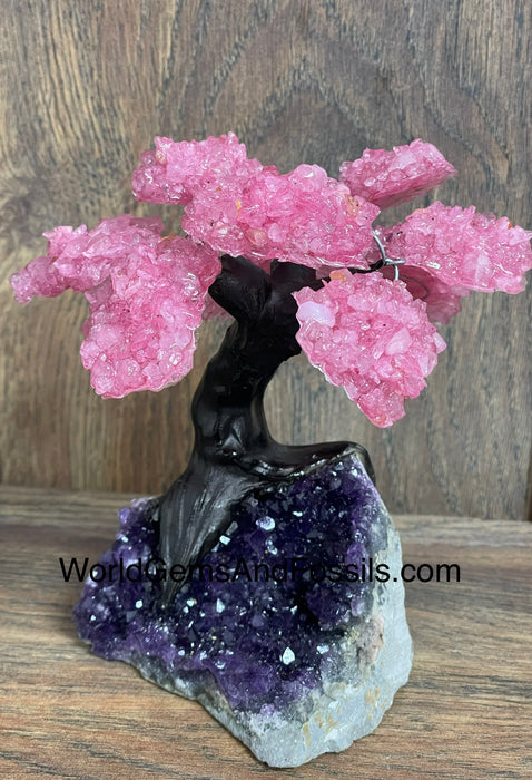 Rose Quartz Tree On Amethyst Base #3