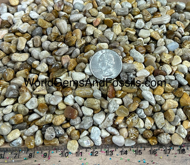 Coral Jade Chip Stones 7-10mm 1 lb