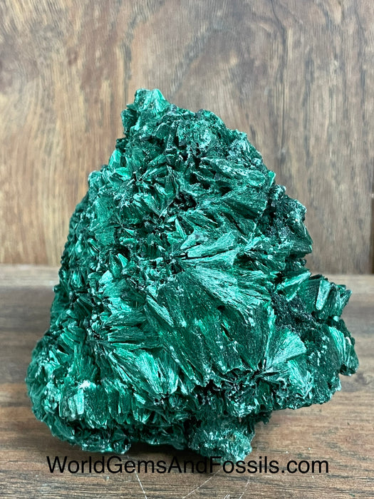 Fibrous Malachite Specimen 4”  #8