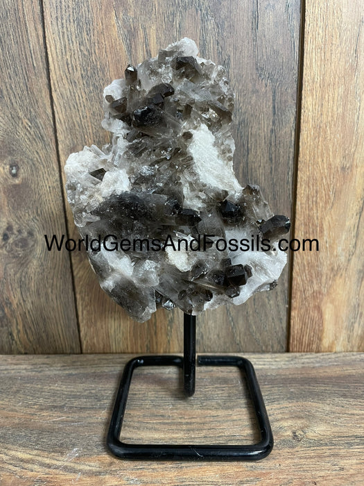 Smoky Quartz Specimen On Stand  9.5”  #3