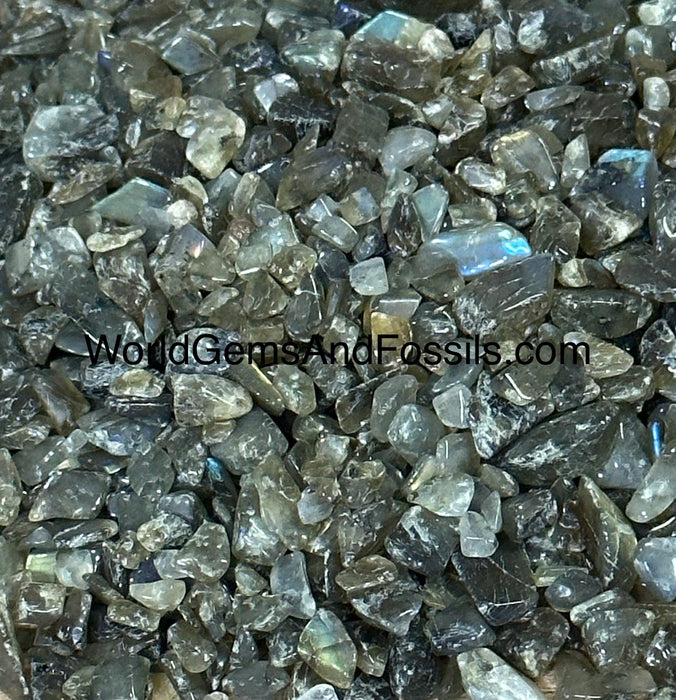 Labradorite Chip Stones 6-9mm 1lb