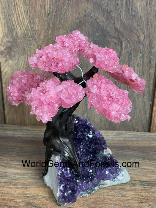 Rose Quartz Tree On Amethyst Base #3