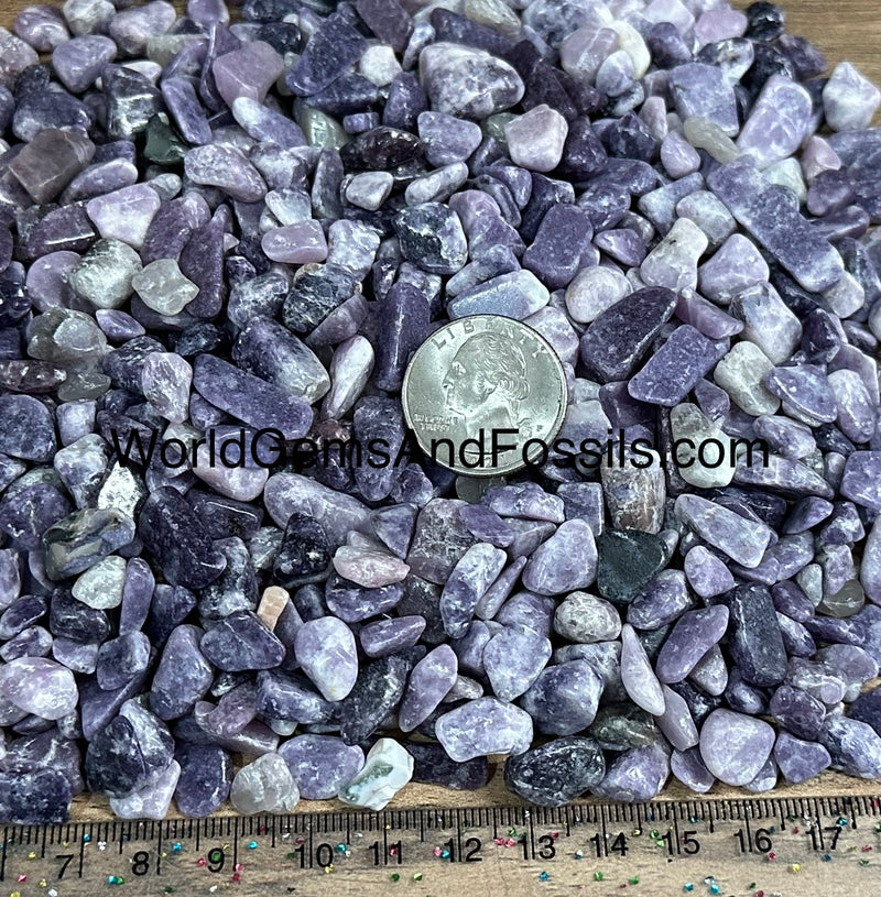 Lepidolite Chip Stones 7-12mm 1 lb