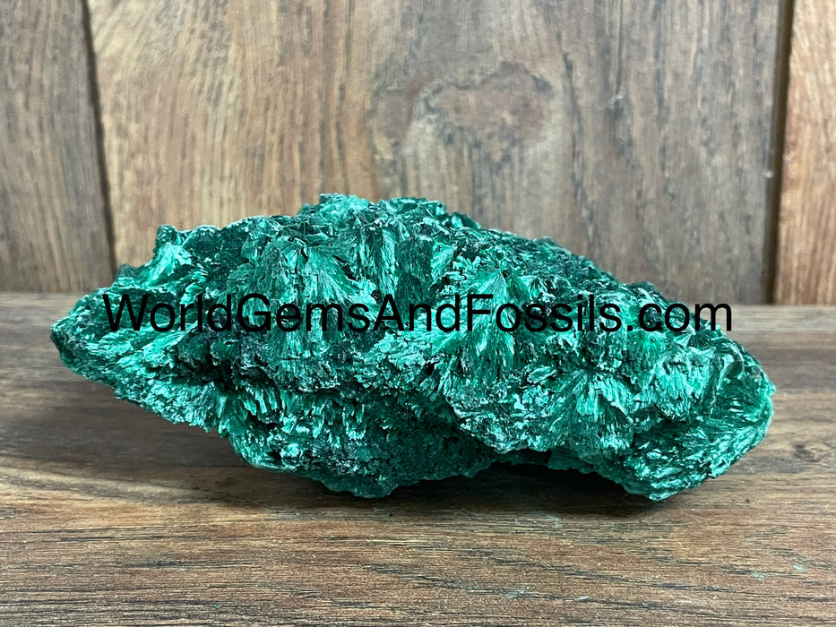 Fibrous Malachite Specimen 5”  #4