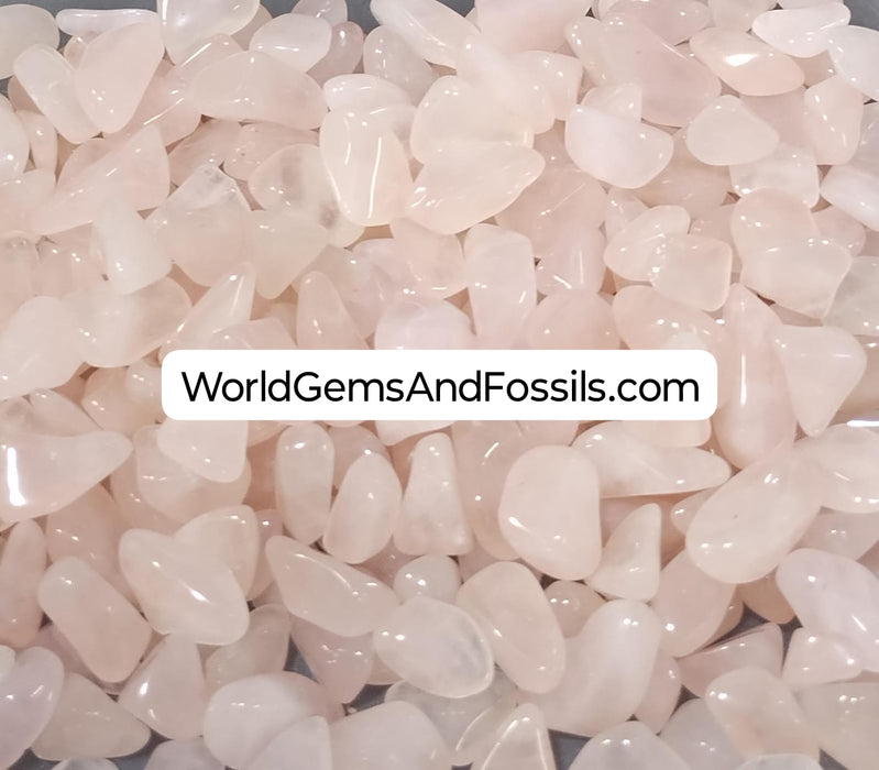 Rose Quartz Tumbled Stone 1 lb 1/2"