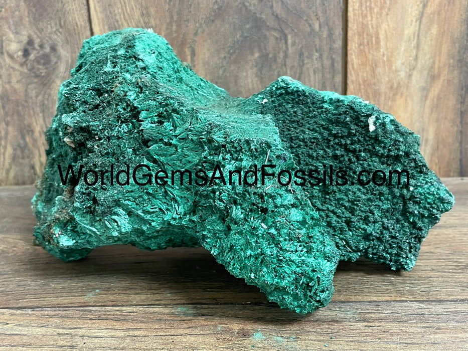 Fibrous Malachite Specimen 8.5”  #6