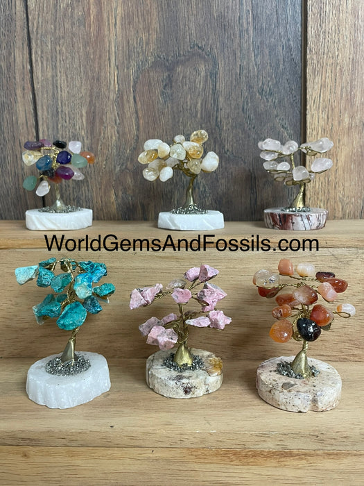 Mix Gem Tree On Onyx Base Mini 6pcs