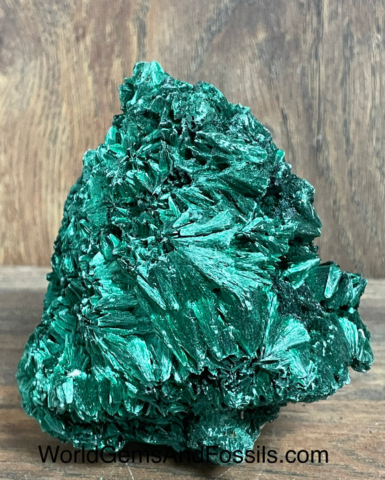 Fibrous Malachite Specimen 4”  #8