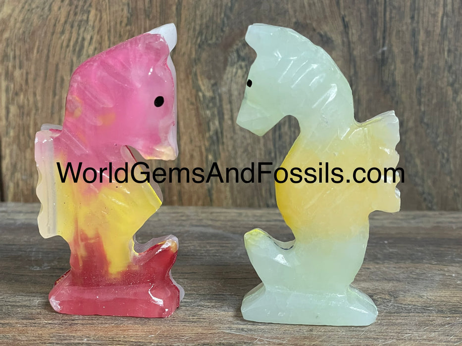 Onyx Seahorse Rainbow