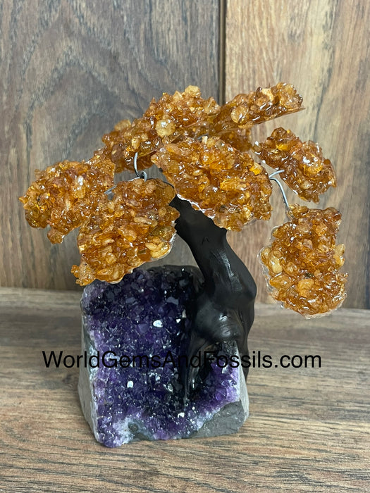 Citrine Tree On Amethyst Base #3