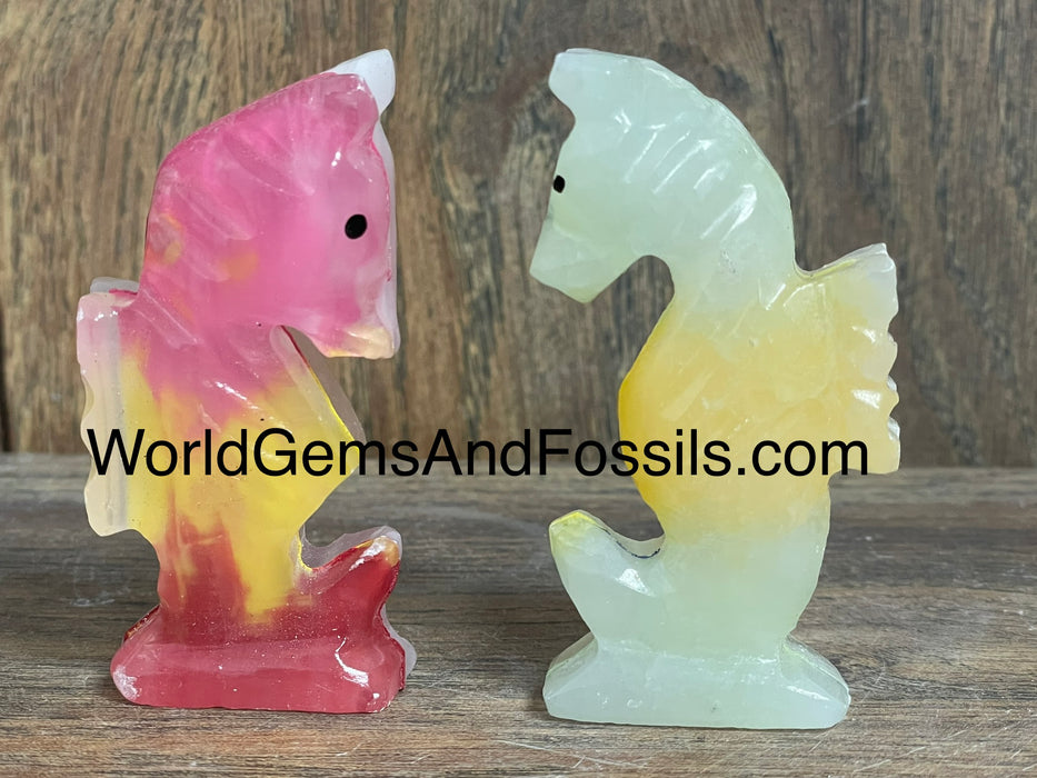 Onyx Seahorse Rainbow