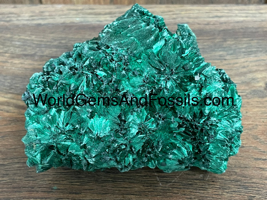 Fibrous Malachite Specimen 4”  #8