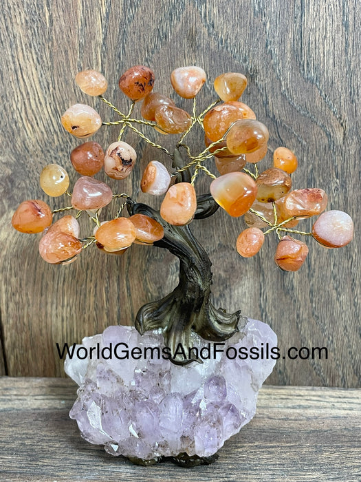 Carnelian Bonsai Tree On Amethyst Base #7