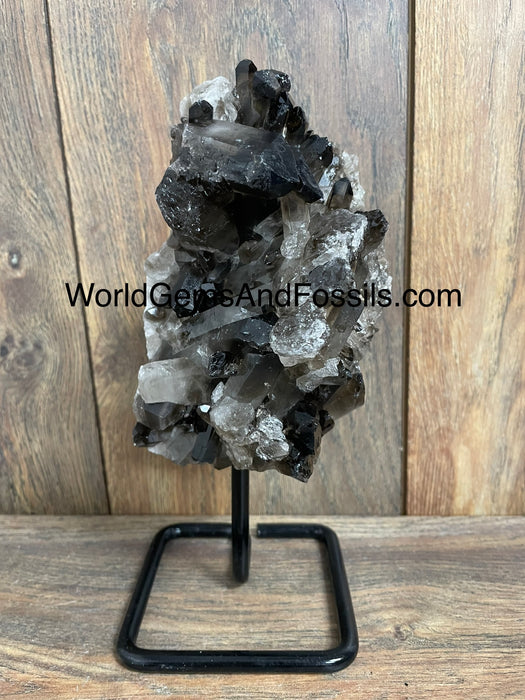 Smoky Quartz Specimen On Stand  9.5”  #8