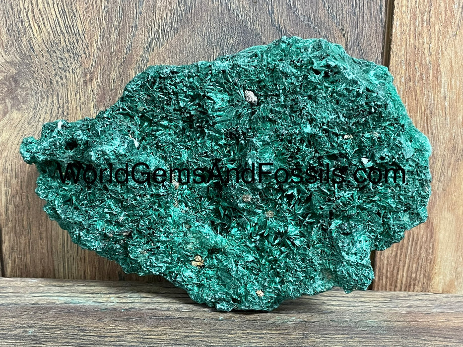 Fibrous Malachite Specimen 6.5”  #5