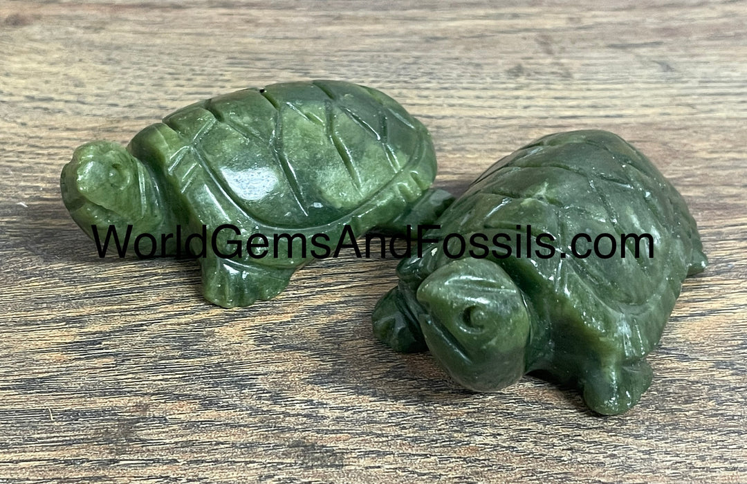 Turte Gems Jade Turtle 3