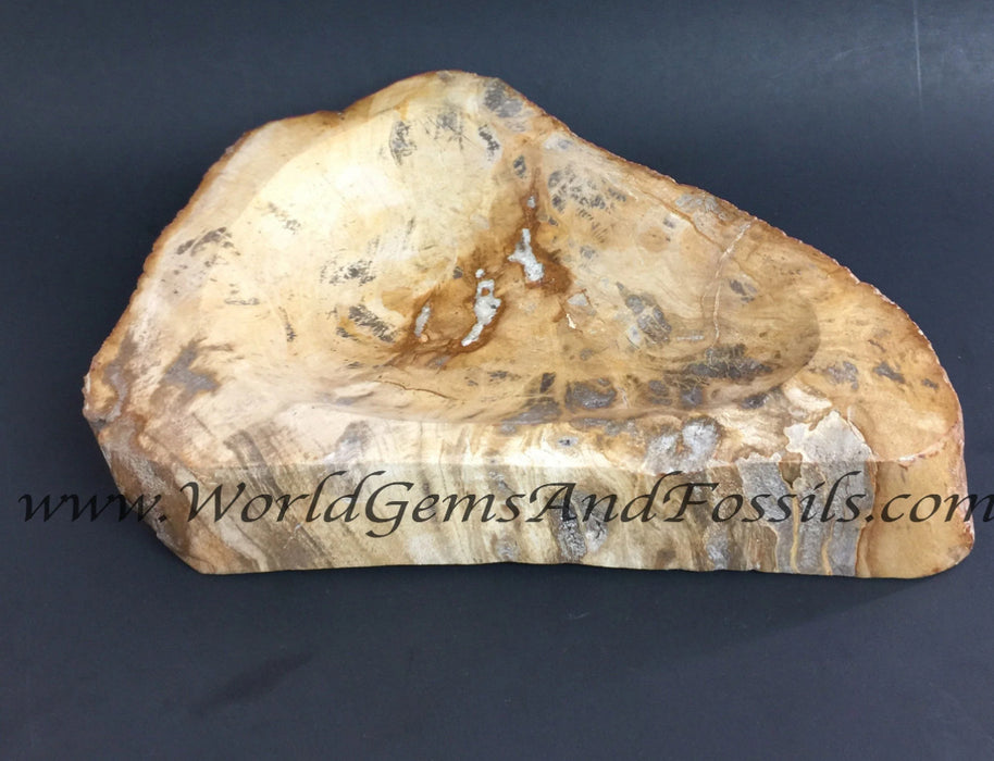 Petrified Wood Bowl