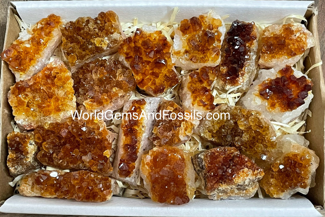 Citrine Druze Flat 1"-2"