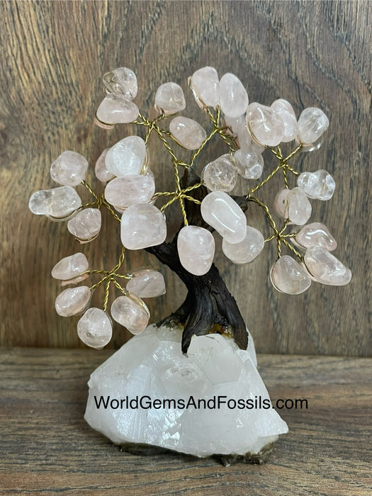 Rose Quartz Bonsai Tree On Clear Quartz Base #7