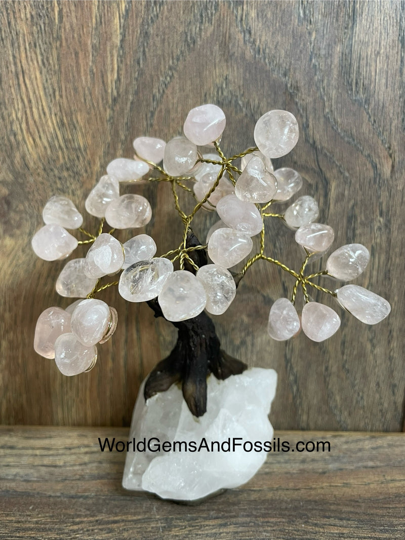 Rose Quartz Bonsai Tree On Clear Quartz Base