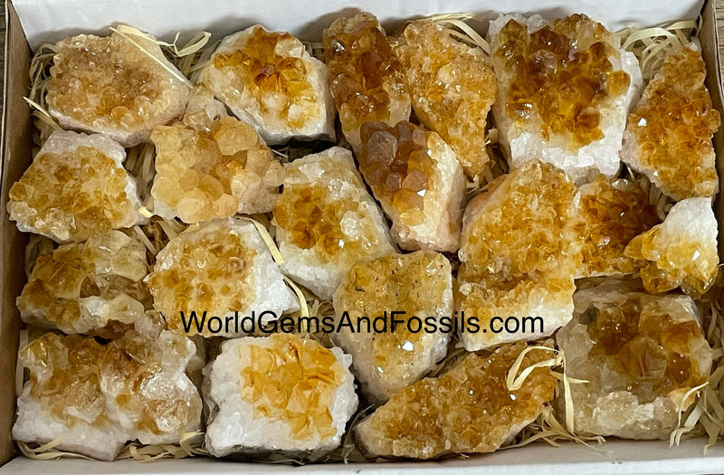 Citrine Druze Flat 1.5"-2.5"