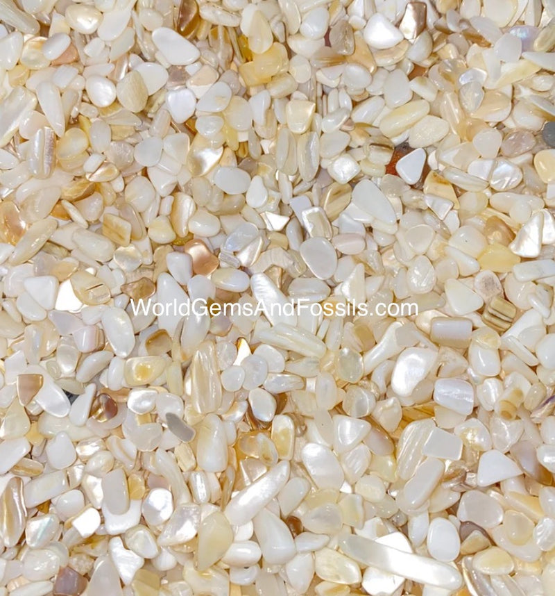 Mother Of Pearl Chip 7-12mm 1 lb