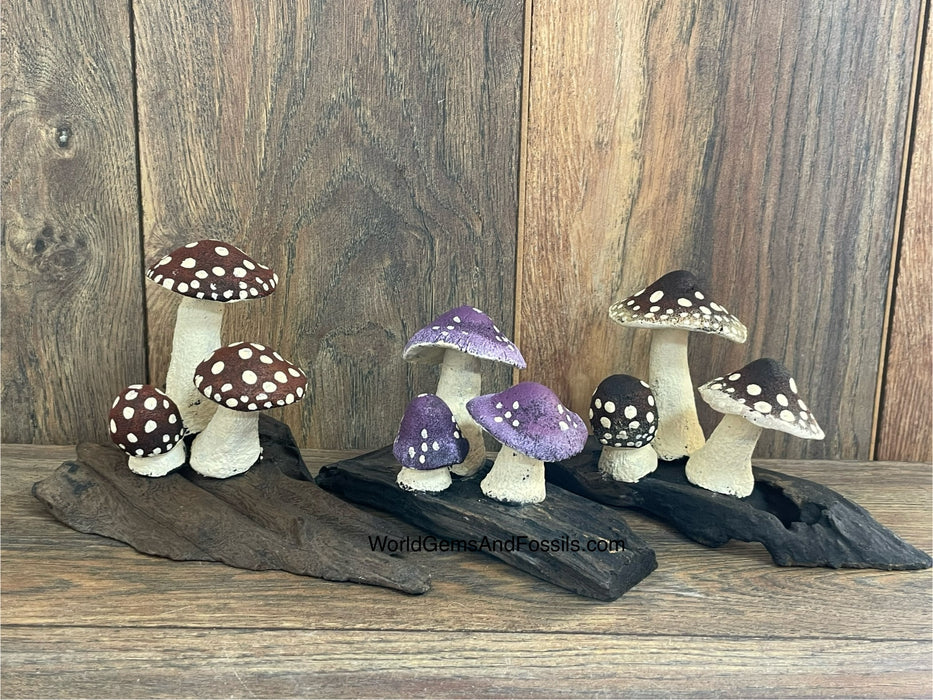 Mushrooms On Wood