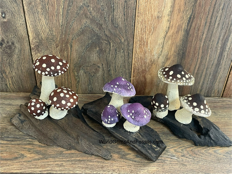 Mushrooms On Wood