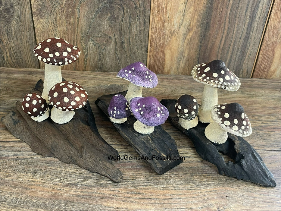 Mushrooms On Wood