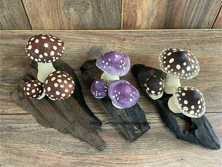 Mushrooms On Wood