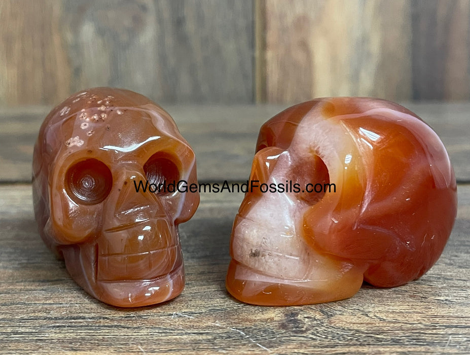 Carnelian Skull  2"