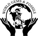 World Gems And Fossils logo