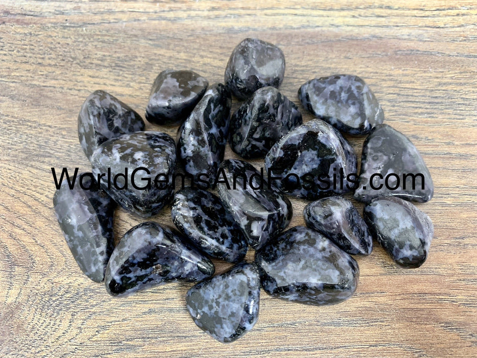 Indigo Gabbro Tumbled Stone 1 lb