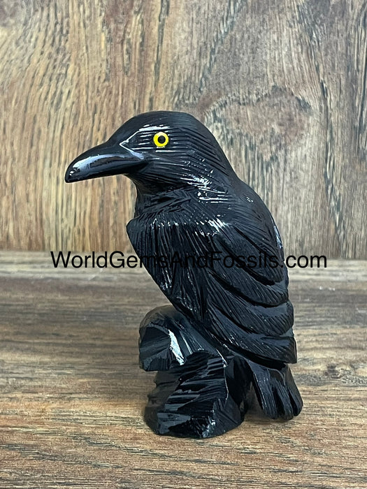 Raven Bird