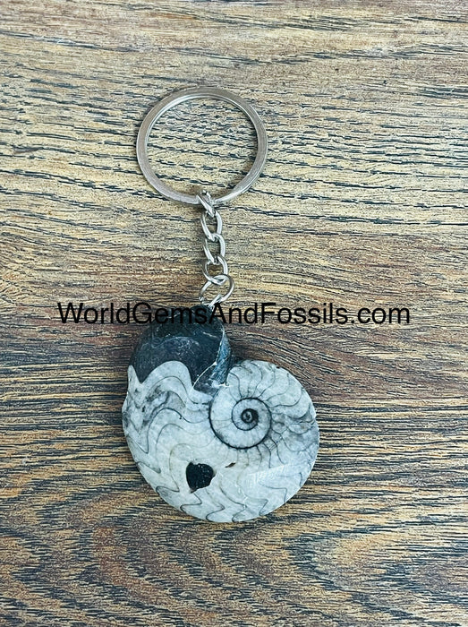 Goniatite Fossil Keychain