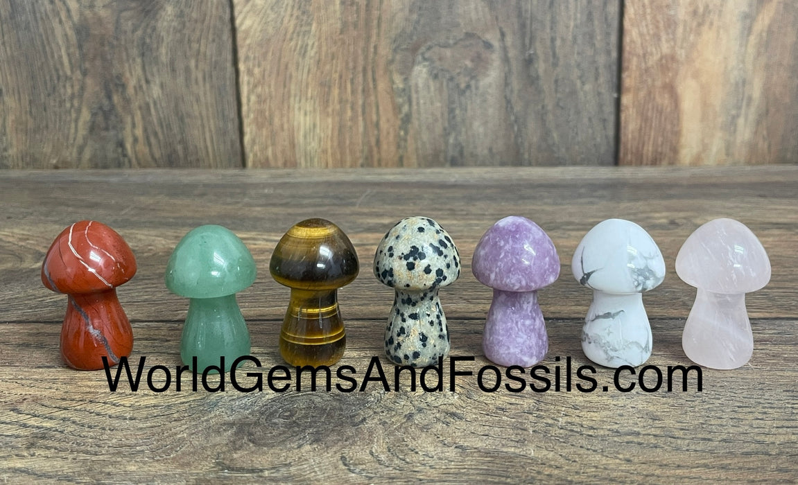 Mushroom 1.5” 5pcs