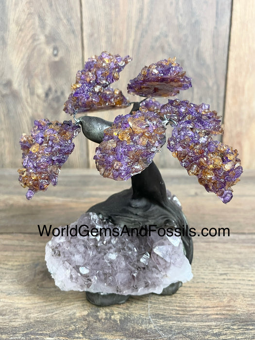 Ametrine Tree On Amethyst Base #3