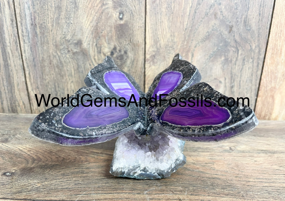 Purple Agate Butterfly On Amethyst Base