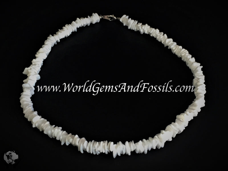 18" White Clam Shell Necklace