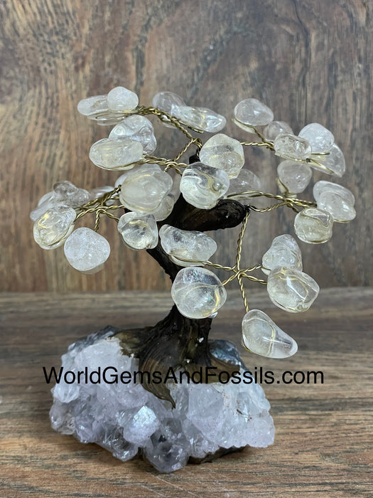 Clear Quartz Bonsai Tree On Amethyst Base #7