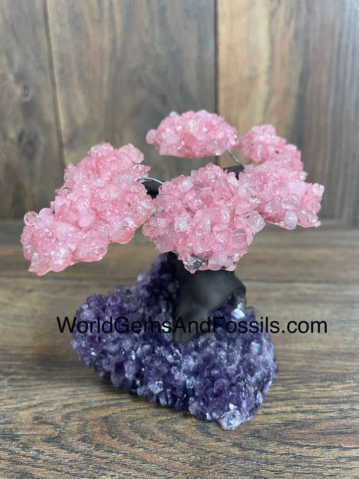 Rose Quartz Tree On Amethyst Base #2