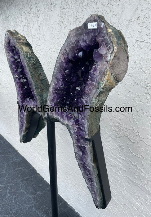 Amethyst Butterfly #5  59.5” x 30.5”