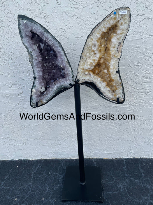 Amethyst Citrine Butterfly #4  47.5” x 21.5”